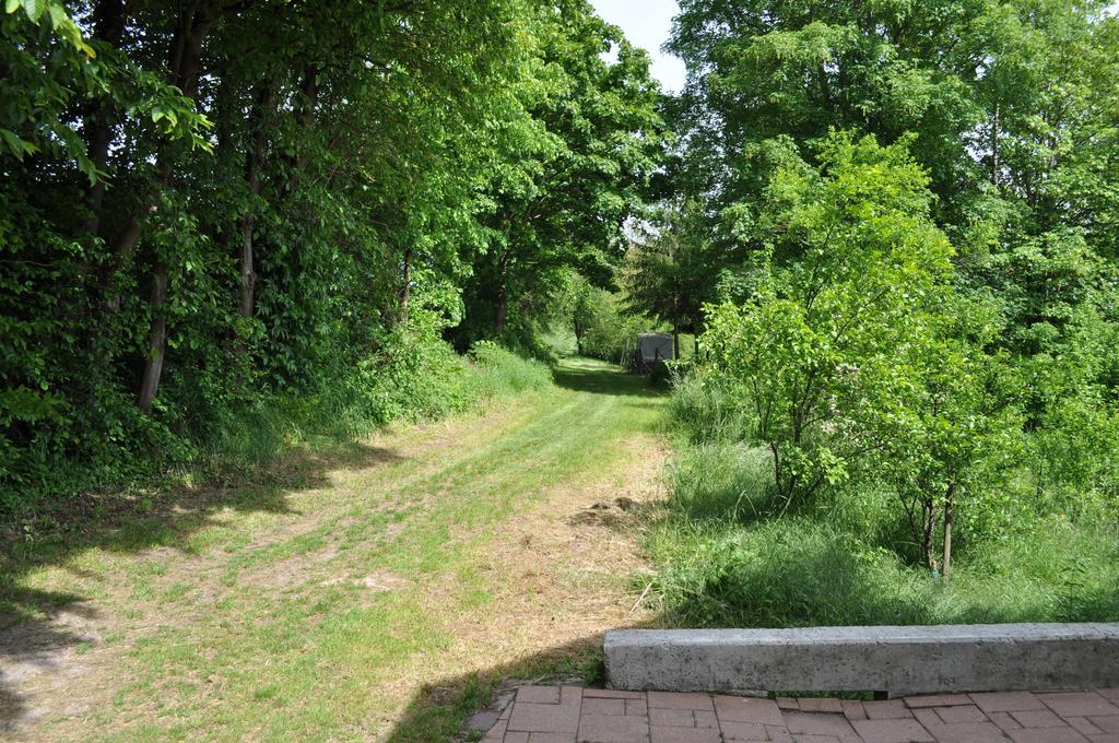 Ferienwohnung Kaestle Bad Bergzabern Luaran gambar